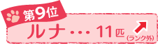 Xʁ@i@PPC@