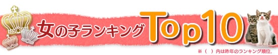 ̎qLOgbvPO