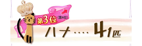 Rʁ@ni@SPC@
