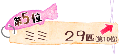 Tʁ@~~@QXC@