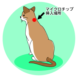 飼い主と愛猫を結ぶ マイクロチップ装着を考える アイリスプラザ メディア 飼い主と愛猫を結ぶ マイクロチップ装着を考える アイリスプラザ メディア
