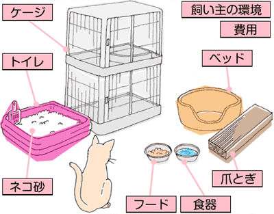 猫を飼い始める前に知っておきたい4つのこと アイリスプラザ メディア