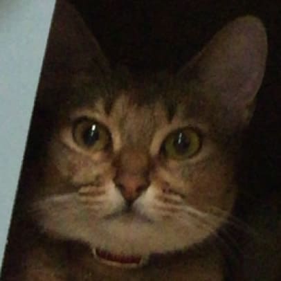 ルナ