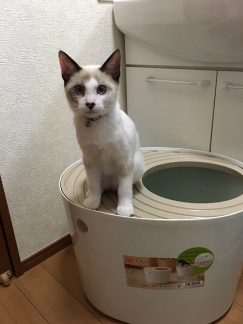 レポート1