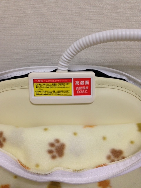 レポート画像