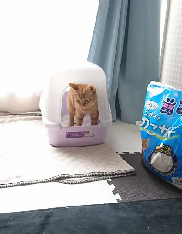 |[g摜