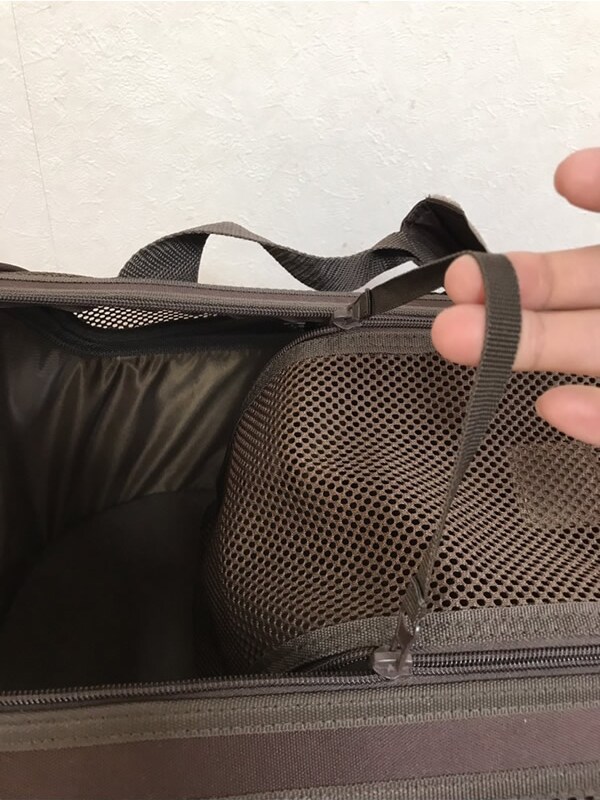 レポート画像