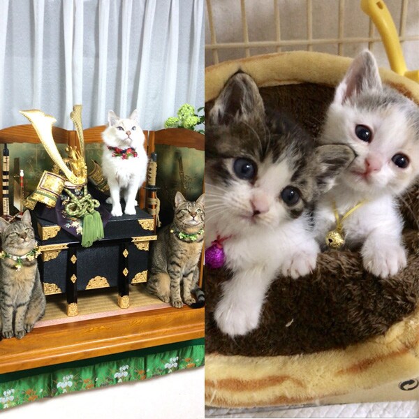 イト・バン・メイ・ムウ