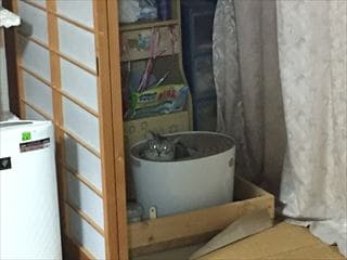|[g摜