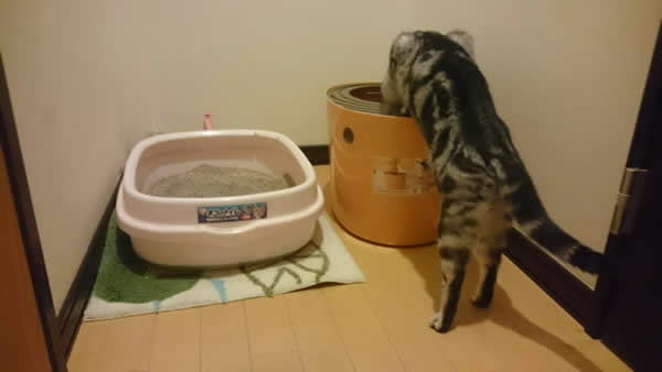 上から猫トイレ プチ 上から猫トイレ用 猫砂モニターレポート アイリスプラザ メディア