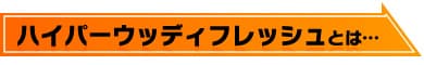 nCp[EbfBtbVƂ́c