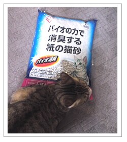 猫砂が届きました。軽い!持ち運びも楽にできました。