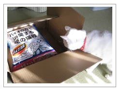 商品のニオイを嗅いで確認!
