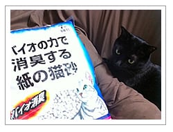 モニター品です。