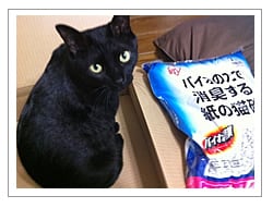 この後すぐにトイレに入れてあげました。