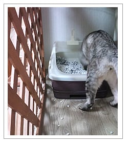 一生懸命おしっこの後処理を…