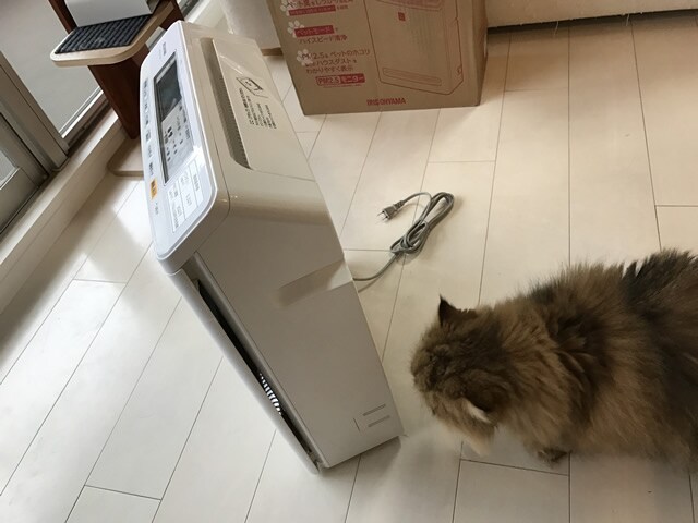 foo-chan01