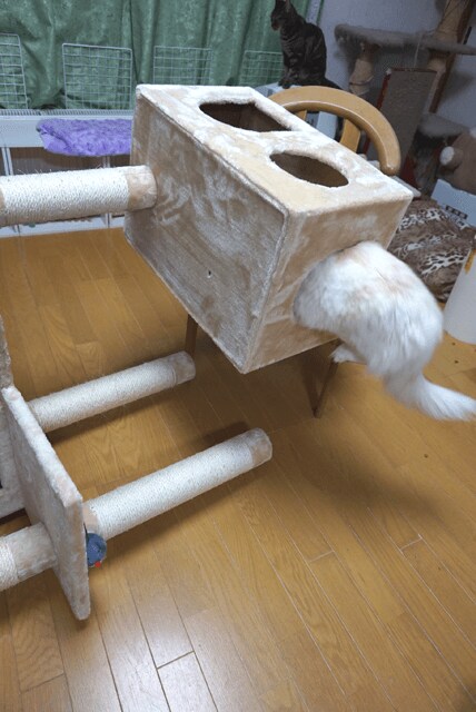 WFj[