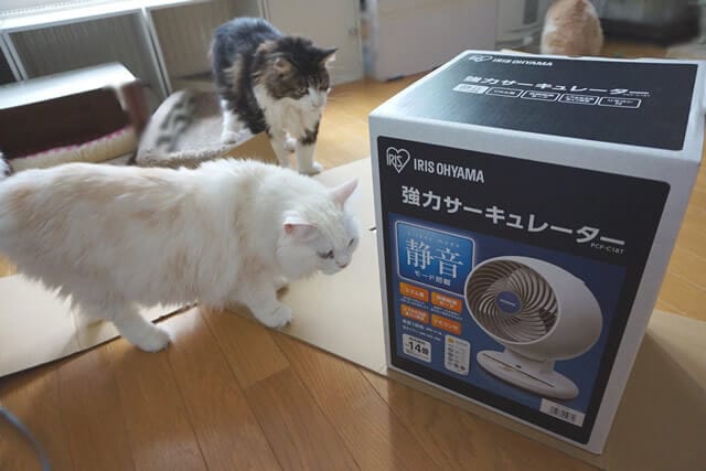 nekodarake02