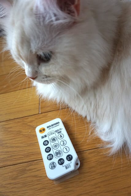nekodarake02