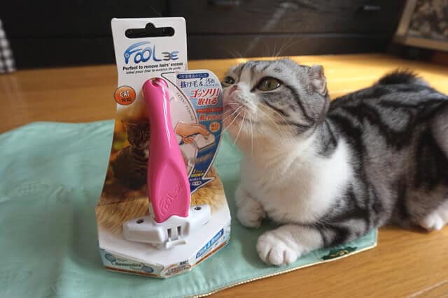 Ȃ