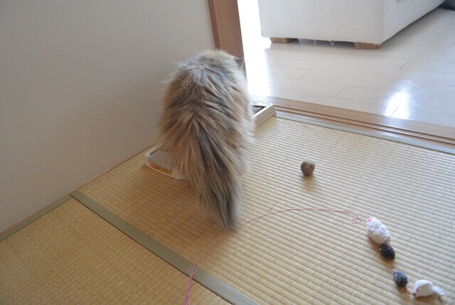foo-chan10