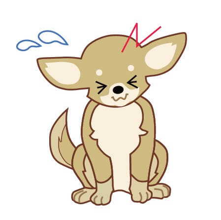 チワワ