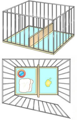 トイレのしつけ