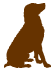 犬