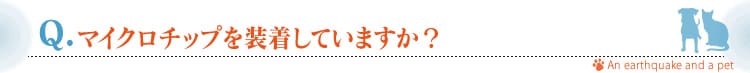 }CN`bv𑕒Ă܂H