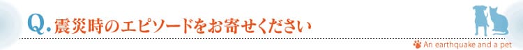 kЎ̃Gs\[h