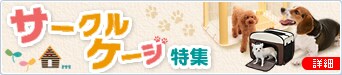 T[NP[WW