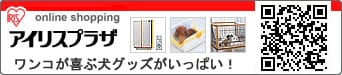 傳񂪊ԃObYςIACXvU
