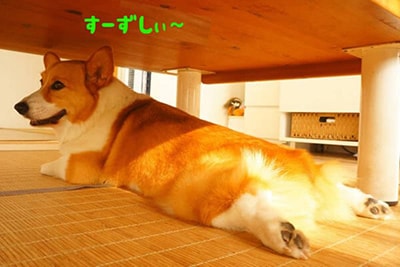 ^[t@