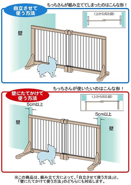 プロフィール紹介