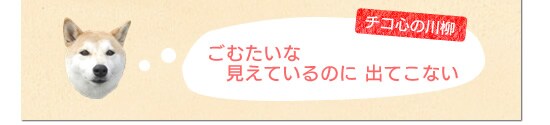 ごむたいな見えているのに出てこない