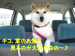 `RÂÔDȂ́`