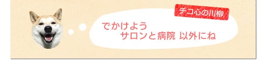 でかけようサロンと病院以外にね