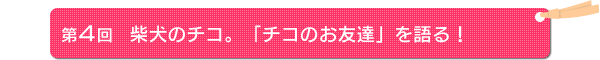 S@Č̃`RBu`R̂FBvI