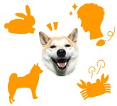 いろんな出会いがあります。