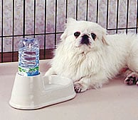 퐻@