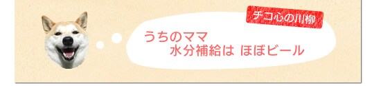 うちのママ水分補給はほぼビール