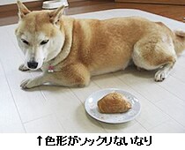 F`\bNȂȂ