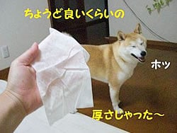 傤Ǘǂ炢