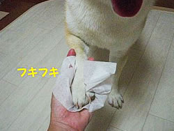 tLtL
