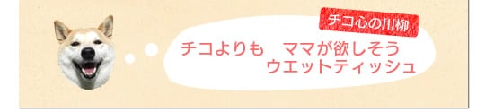 チコよりも ママが欲しそう ウエットティッシュ