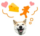 チコは、オヤツが大好き!