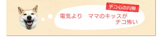 電気より ママのキッスが チコ怖い