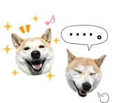 喜んでいる時や楽しんでいる時の顔