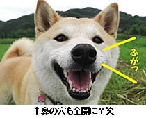 @̌SJɁH